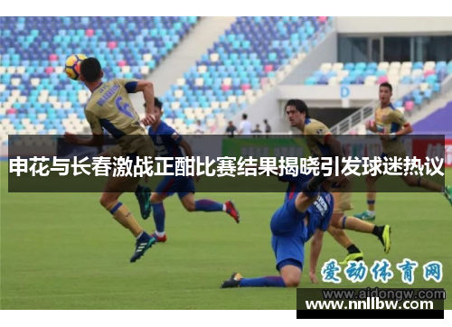 申花与长春激战正酣比赛结果揭晓引发球迷热议
